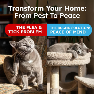 MD Flea & Tick Spray