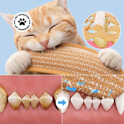 Catnip Toy