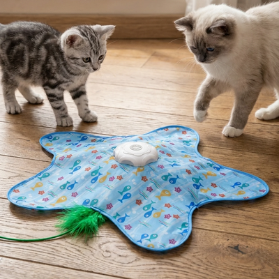 Feather Chase Toy