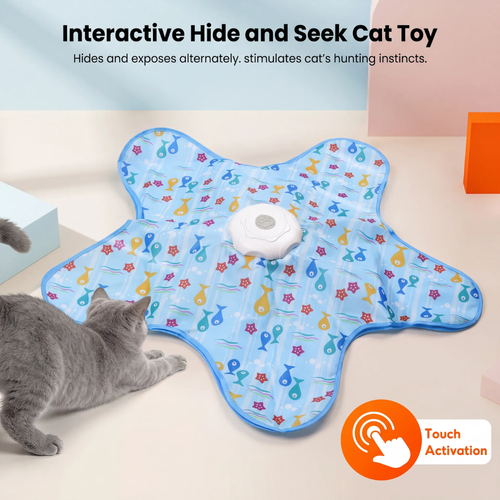 Feather Chase Toy