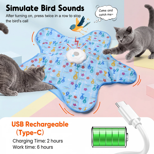 Feather Chase Toy