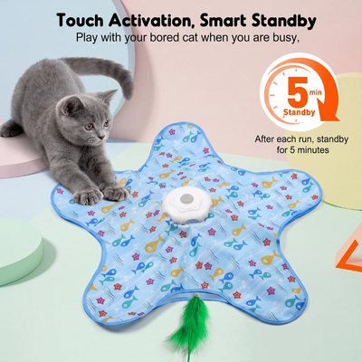 Feather Chase Toy